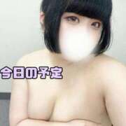 ヒメ日記 2025/08/11 07:59 投稿 ゆり 白いぽっちゃりさん五反田店