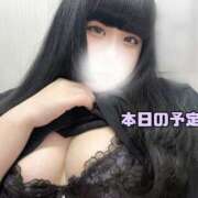 ヒメ日記 2025/08/17 10:29 投稿 ゆり 白いぽっちゃりさん五反田店