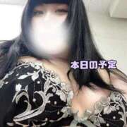 ヒメ日記 2025/08/28 10:09 投稿 ゆり 白いぽっちゃりさん五反田店