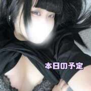 ヒメ日記 2025/09/06 10:14 投稿 ゆり 白いぽっちゃりさん五反田店