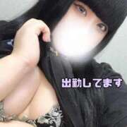 ヒメ日記 2025/09/11 13:09 投稿 ゆり 白いぽっちゃりさん五反田店