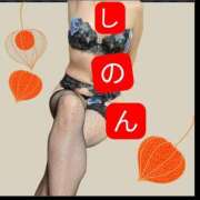 ヒメ日記 2025/10/04 22:26 投稿 しのん 京都デリヘル倶楽部FIRST