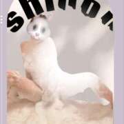 しのん 夜になってきました💕 京都デリヘル倶楽部FIRST