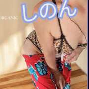 ヒメ日記 2025/12/02 16:01 投稿 しのん 京都ホテヘル倶楽部