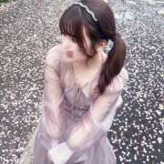 ヒメ日記 2026/04/03 19:17 投稿 すう ∞ (はっち)