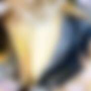 ヒメ日記 2025/12/11 18:30 投稿 わかな Minniy