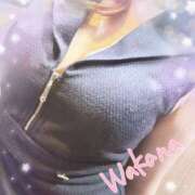 ヒメ日記 2025/12/29 18:30 投稿 わかな Minniy