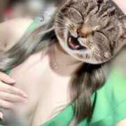 ヒメ日記 2025/12/29 21:07 投稿 みなみ Minniy