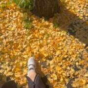 ヒメ日記 2025/11/24 11:50 投稿 そら 厚木人妻城