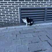 ヒメ日記 2026/01/01 15:34 投稿 そら 厚木人妻城