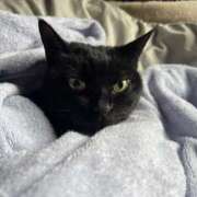 ヒメ日記 2026/01/14 09:24 投稿 そら 厚木人妻城