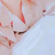 ヒメ日記 2025/12/27 10:45 投稿 くれあ ☆期間限定極嬢美女 Ace(エース)