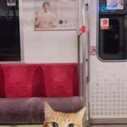 ヒメ日記 2025/09/26 23:10 投稿 澤田　まゆみ NADIA大阪店