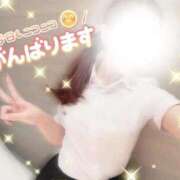 ヒメ日記 2026/06/12 11:50 投稿 澤田　まゆみ NADIA大阪店