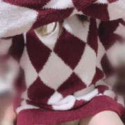 ヒメ日記 2025/09/30 14:29 投稿 大神すずめ ド淫乱セレブ妻