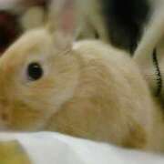 ヒメ日記 2026/02/24 20:30 投稿 みりあ セレブクエスト‐Kasukabe‐