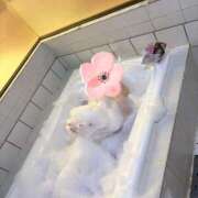 ヒメ日記 2025/11/26 00:01 投稿 ねね エメラルド☆フロウジョン