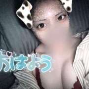 ヒメ日記 2025/08/07 12:08 投稿 みきな 京都BOOK MARK（ブックマーク）