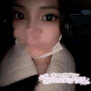 ヒメ日記 2025/11/08 17:48 投稿 みきな 京都BOOK MARK（ブックマーク）