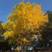 ヒメ日記 2025/12/12 00:08 投稿 みきな 京都BOOK MARK（ブックマーク）