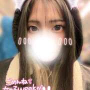 みきな ｺﾞﾒﾝﾅｻｲ🙏 京都BOOK MARK（ブックマーク）