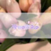 ヒメ日記 2026/02/01 02:28 投稿 みきな 京都BOOK MARK（ブックマーク）