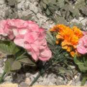 ヒメ日記 2026/03/20 03:58 投稿 みきな 京都BOOK MARK（ブックマーク）