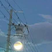 ヒメ日記 2026/06/29 05:58 投稿 みきな 京都BOOK MARK（ブックマーク）