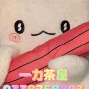 ヒメ日記 2025/08/07 11:13 投稿 るい 一力茶屋