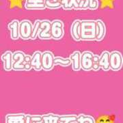 ヒメ日記 2025/10/26 08:13 投稿 るい 一力茶屋