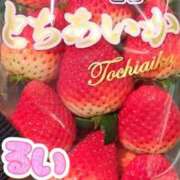 ヒメ日記 2026/02/01 15:43 投稿 るい 一力茶屋