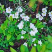 ヒメ日記 2026/03/10 13:13 投稿 るい 一力茶屋