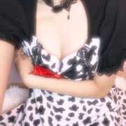 ヒメ日記 2025/10/29 18:31 投稿 なづな 新宿カルテ