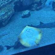 ヒメ日記 2026/02/27 20:43 投稿 ゆか Club S