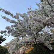 ヒメ日記 2026/03/29 22:43 投稿 ゆか Club S