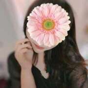 ヒメ日記 2026/01/06 16:35 投稿 まりな 渋谷蘭の会