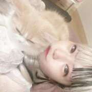 ねこ こんばんわ 山梨　風俗　デリヘル　 『ラブ＆ピース学園』