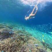 まゆみ おぉぉお( ;  ; ) 吉原ファーストレディ