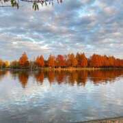 ヒメ日記 2025/12/07 19:18 投稿 ゆりあ シークレットタッチ