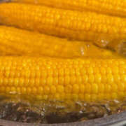 ヒメ日記 2025/09/01 14:48 投稿 花丘あおな 色気あるワイフ