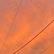 ヒメ日記 2025/10/08 19:39 投稿 花丘あおな 美魔女エステ