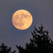 花丘あおな ※無題 美魔女エステ