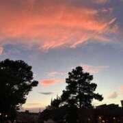 ヒメ日記 2025/09/15 09:53 投稿 花丘あおな 麗しいマダム