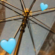 ヒメ日記 2025/10/31 18:37 投稿 花丘あおな 麗しいマダム