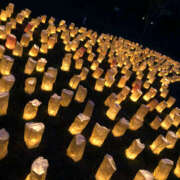 ヒメ日記 2025/12/04 21:11 投稿 花丘あおな 麗しいマダム