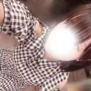 ヒメ日記 2025/08/21 09:37 投稿 すもも ていくぷらいど.学園