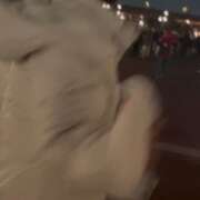 ヒメ日記 2025/08/26 15:40 投稿 すもも ていくぷらいど.学園