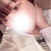 ヒメ日記 2025/09/03 18:23 投稿 すもも ていくぷらいど.学園