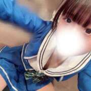 ヒメ日記 2026/01/19 07:00 投稿 すもも ていくぷらいど.学園