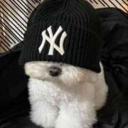 ヒメ日記 2025/08/08 15:27 投稿 まお 新宿ハンドメイド